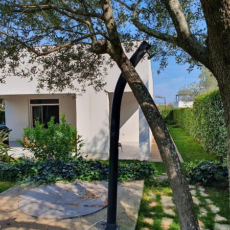 Villa Tea Zadar Extérieur photo